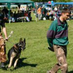 vallaj-strudlifesztival-2008-mg-5709_1518613291