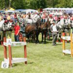 vallaj-strudlifesztival-2008-mg-5919_1518613772