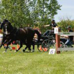 vallaj-strudlifesztival-2008-mg-5954_1518613942