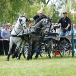 vallaj-strudlifesztival-2008-mg-5995_1518613989