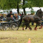 vallaj-strudlifesztival-2009-mg-1352_1518616561