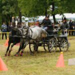 vallaj-strudlifesztival-2009-mg-1366_1518616591