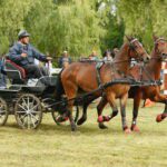vallaj-strudlifesztival-2009-mg-1481_1518616677